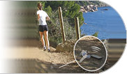 Protection et surveillance enfants et objets